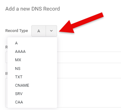 DNS Zone Records